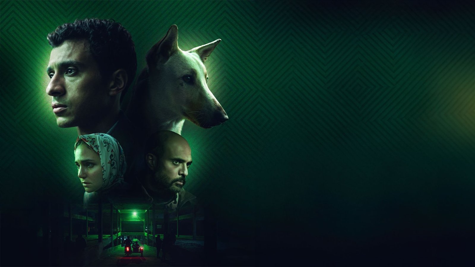 فيلم البحث عن منفذ لخروج السيد رامبو 2025